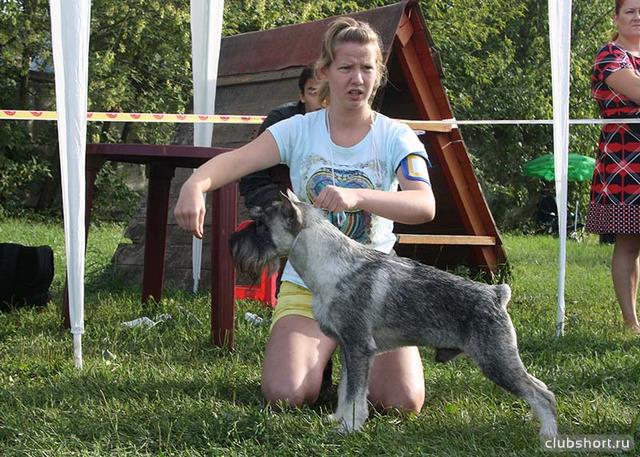 45260_284218-c5394-80603842-uc50d3.jpg